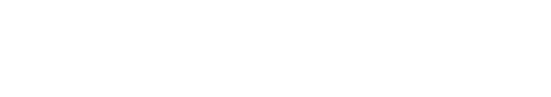 bonema.ae logo
